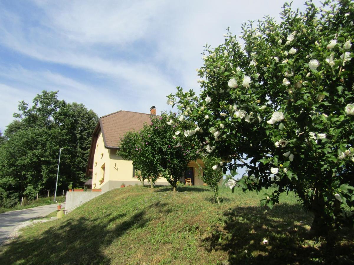 Apartma Melinc Бовец Экстерьер фото